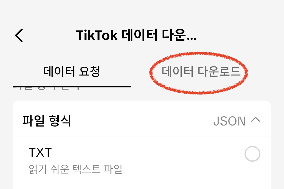 새 내보내기 생성 버튼